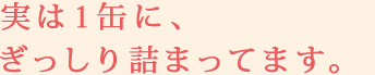 実は１缶に、ぎっしり詰まってます。