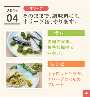 2015/04【オリーブ】そのままで、調味料にも。オリーブ缶、やります。【コラム】異国の果実、独特な風味＆味わい。【レシピ】キャロットサラダ、オリーブごはんのプレート