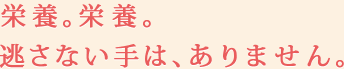 栄養。栄養。逃さない手は、ありません。