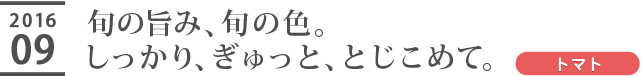 旬の旨み、旬の色。しっかり、ぎゅっと、とじこめて。