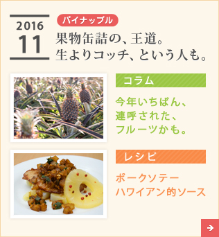 2016/11【パイナップル】果物缶詰の、王道。生よりコッチ、という人も。【コラム】今年いちばん、連呼された、フルーツかも。【レシピ】ポークソテー ハワイアン的ソース