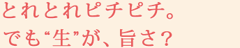 とれとれピチピチ。でも“生”が、旨さ？