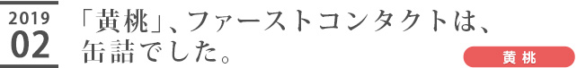 「黄桃」、ファーストコンタクトは、缶詰でした。