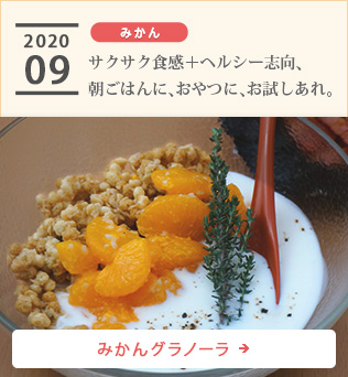 2020/09【みかん】サクサク食感＋ヘルシー志向、朝ごはんに、おやつに、お試しあれ。