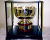 The New Bottle Can won the Grand Prix for Can of the Year at Canex 2000, hosted by The Canmaker (magazine).