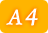 A1