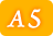 A1