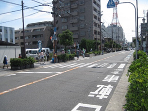 歩道の清掃活動の様子